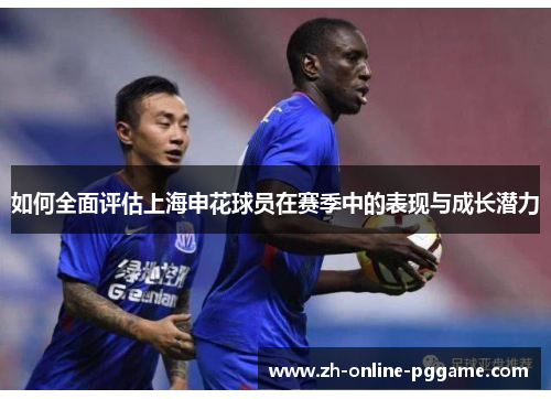 如何全面评估上海申花球员在赛季中的表现与成长潜力