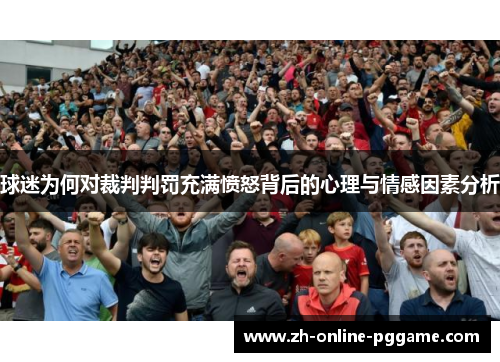 球迷为何对裁判判罚充满愤怒背后的心理与情感因素分析