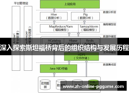 深入探索斯坦福桥背后的组织结构与发展历程