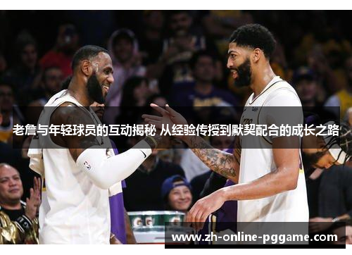 老詹与年轻球员的互动揭秘 从经验传授到默契配合的成长之路