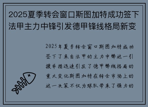 2025夏季转会窗口斯图加特成功签下法甲主力中锋引发德甲锋线格局新变化